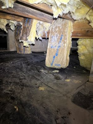Real Estate Mold Remediation