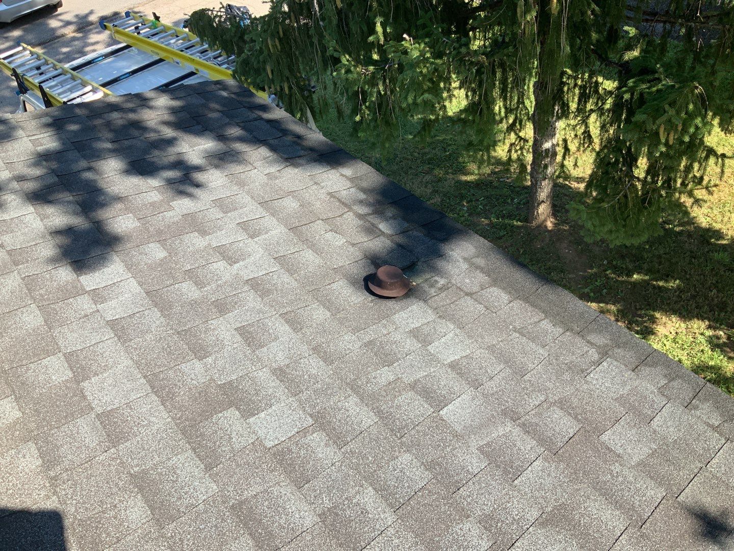 New Roof,Door,Windows by Alpha Design Services