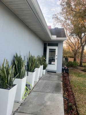 Project in Clearwater 33762