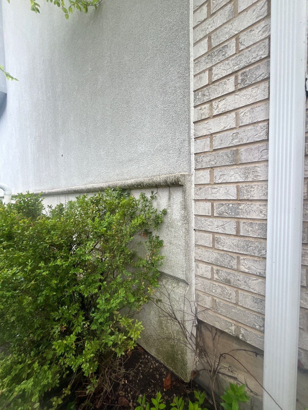 dryvit using Algaecide, soft wash soap by Northern Power Washing LLC.