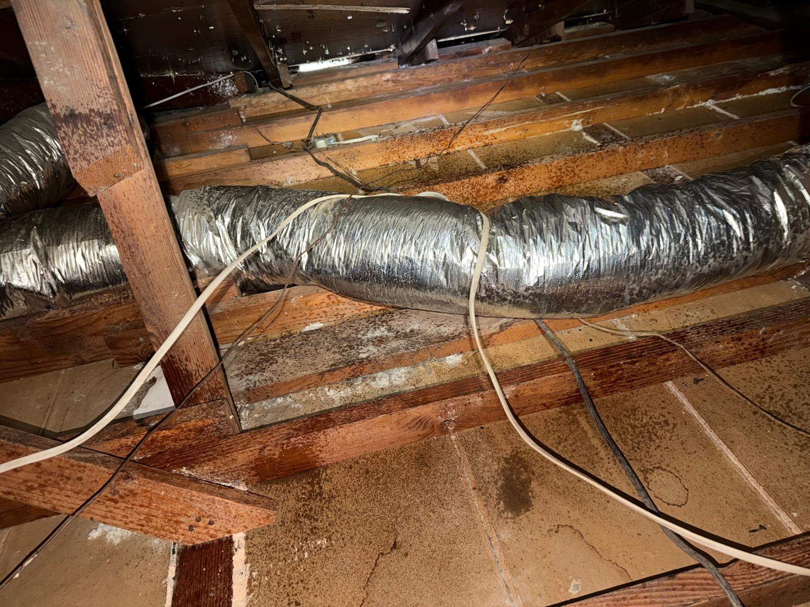 Project in Anaheim by Advanced Attic Solutions