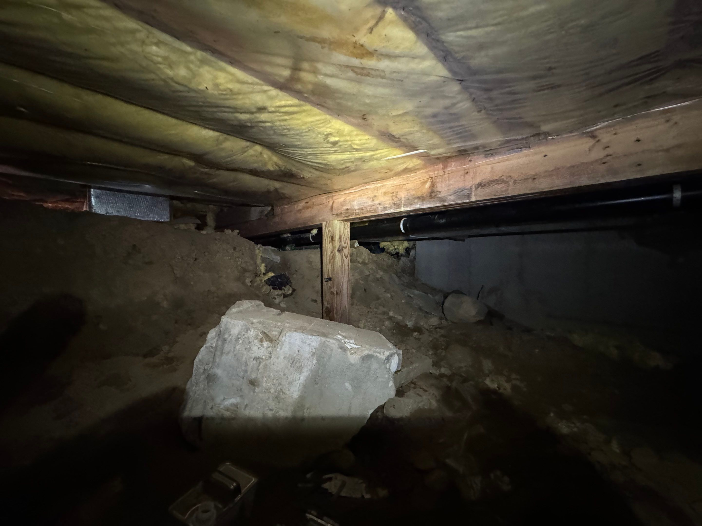 Mold Remediation (Basement) using Home Guarantee by Home Guarantee, LLC