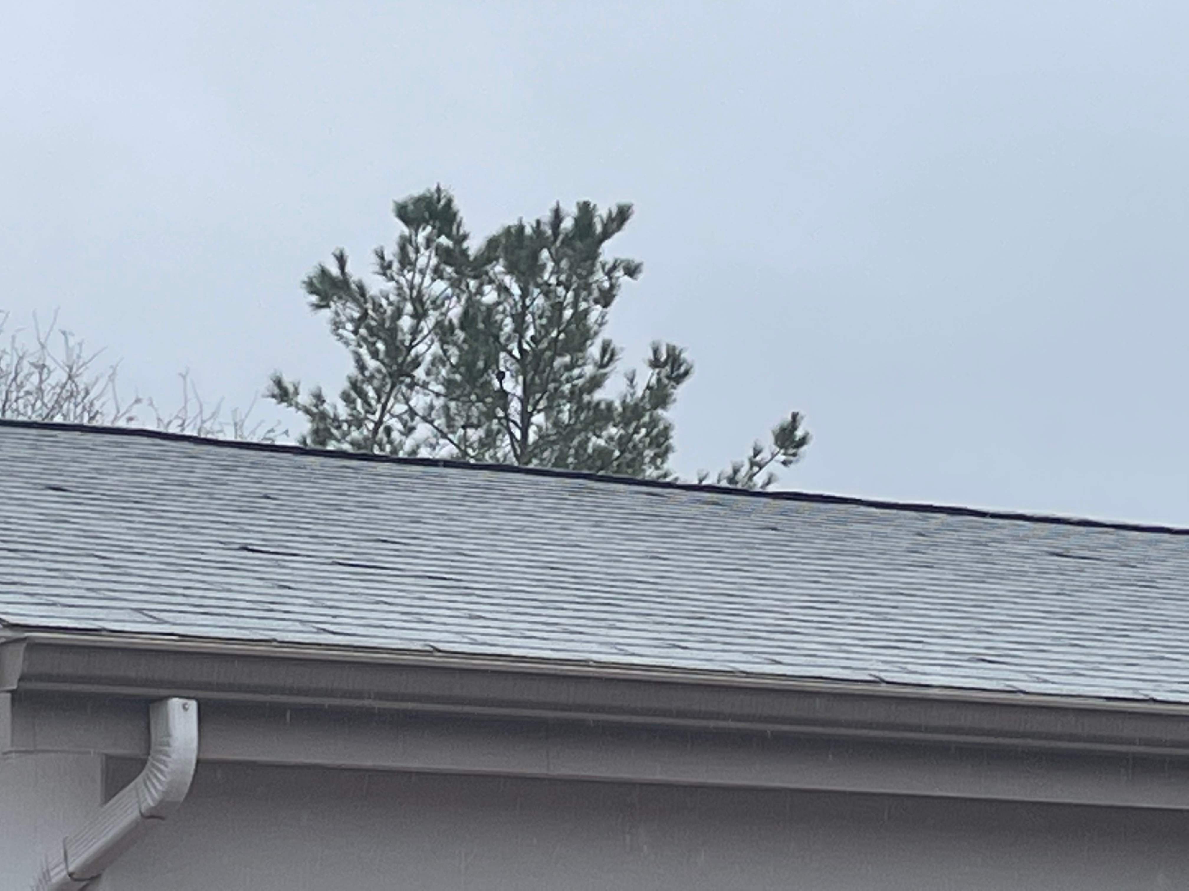 Jim's Full Re-roof by All Storm Roofing & Construction