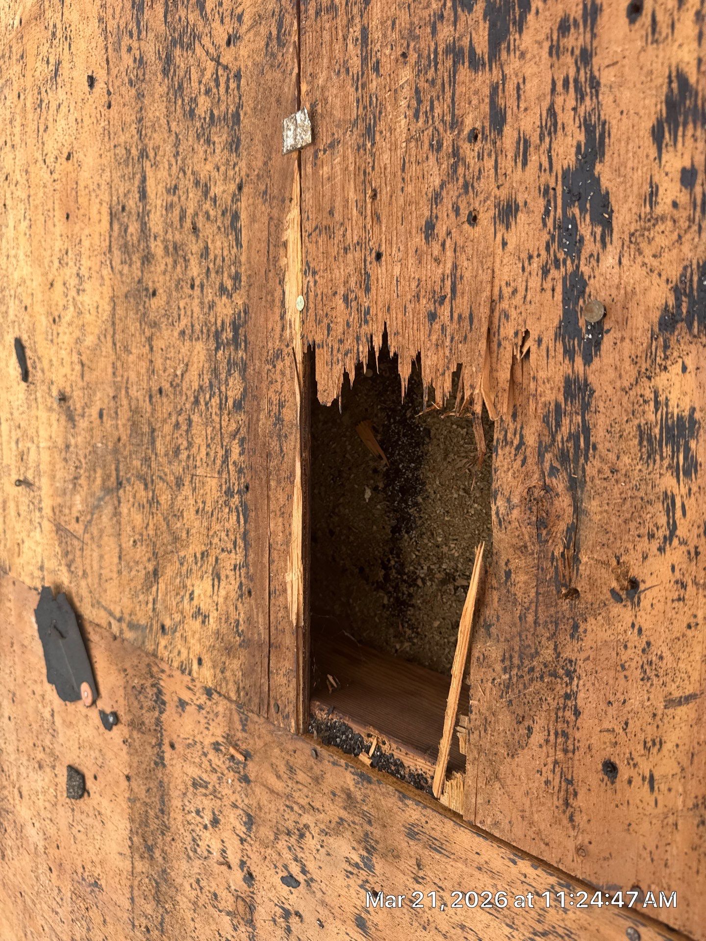 Residential Roof Replacement in New Carlisle, OH by XPRO ELITE LLC