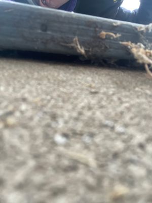 Project in Minneapolis