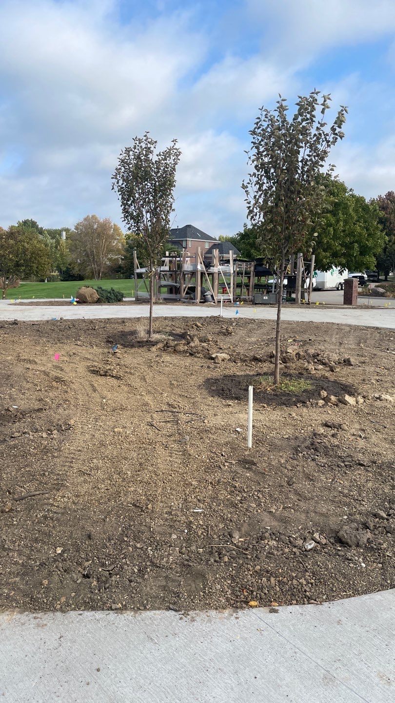Landscape Bed Updates.  by New Horizon Landscapes
