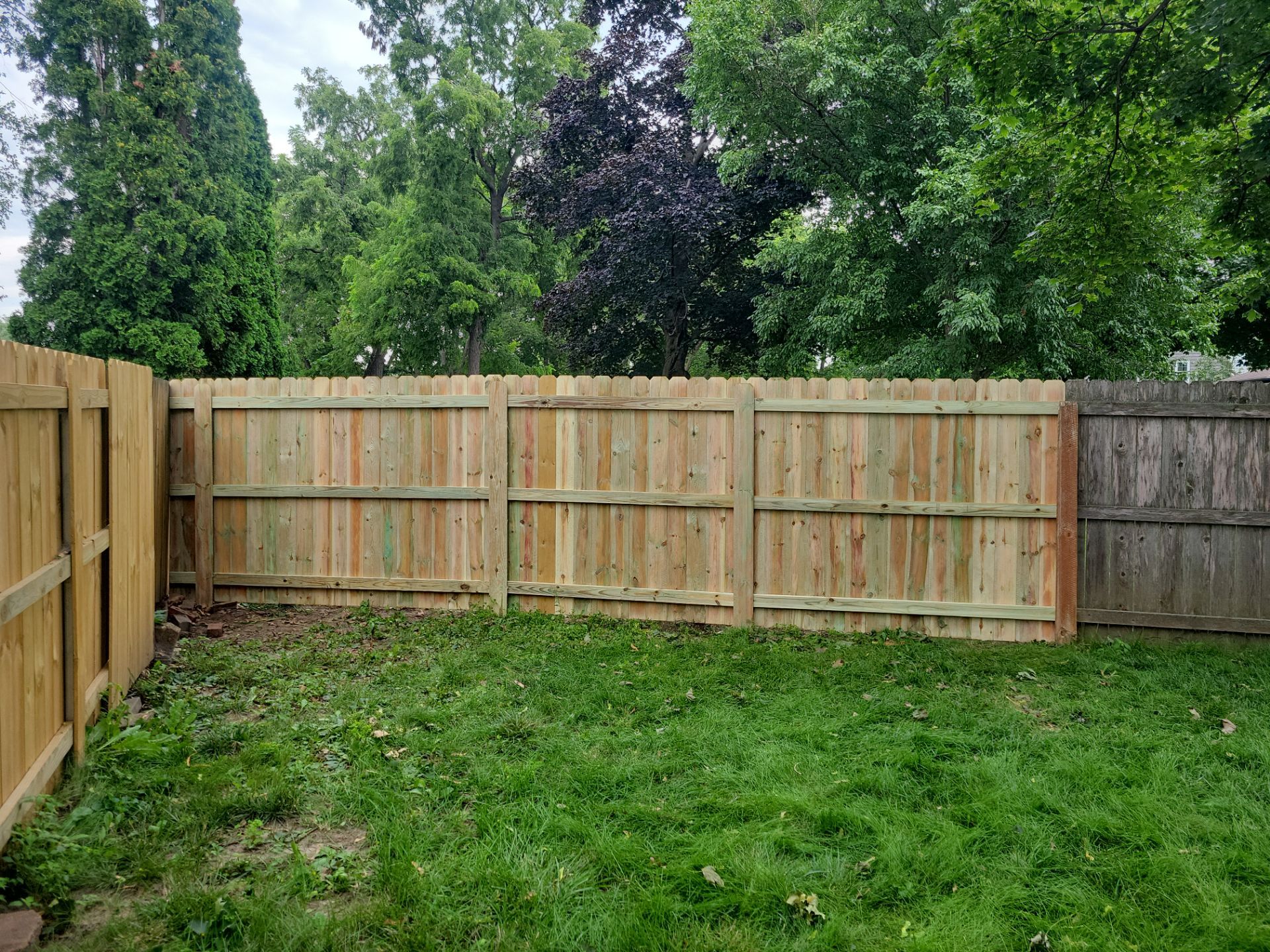 Pressure-Treated Wood Privacy Fence Replacement in Waterloo by Perfect Picket Fence and Stain