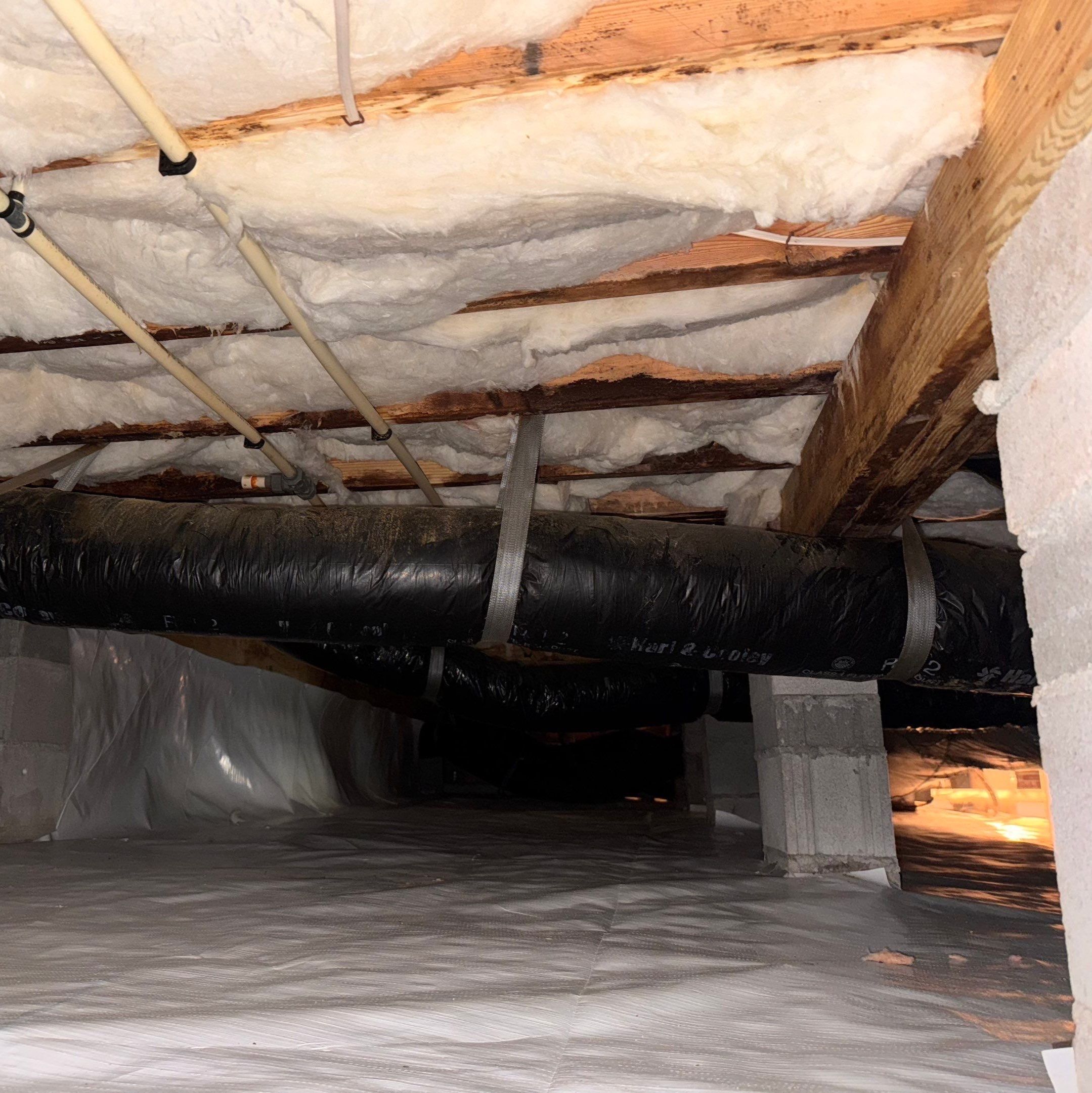 Moisture Barrier, Mold Clean, Structural Repair, Dehumidifier, R19 Insulation. by Impact Crawlspace