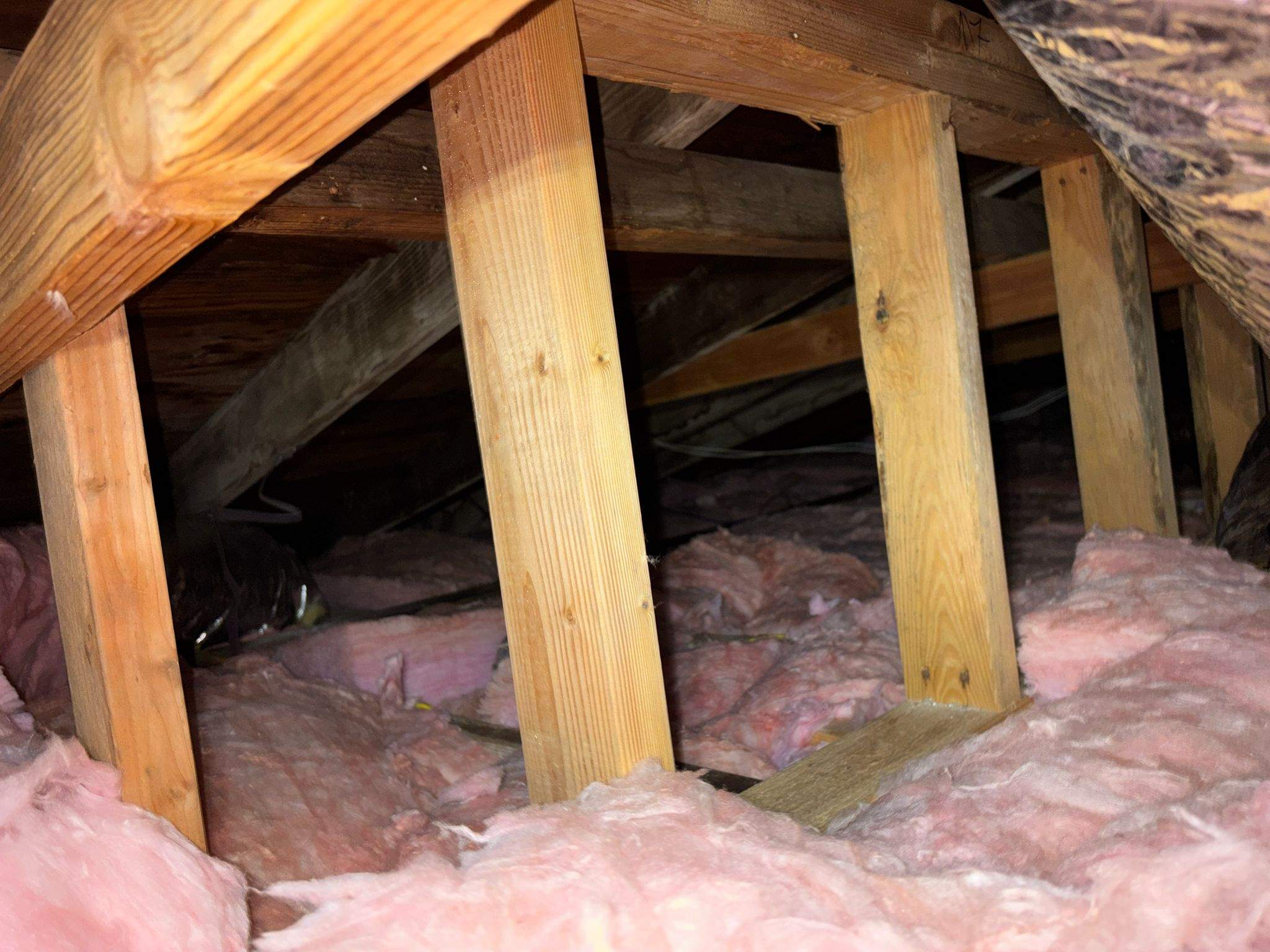 Project in Pacific Palisades by Insulation Labs