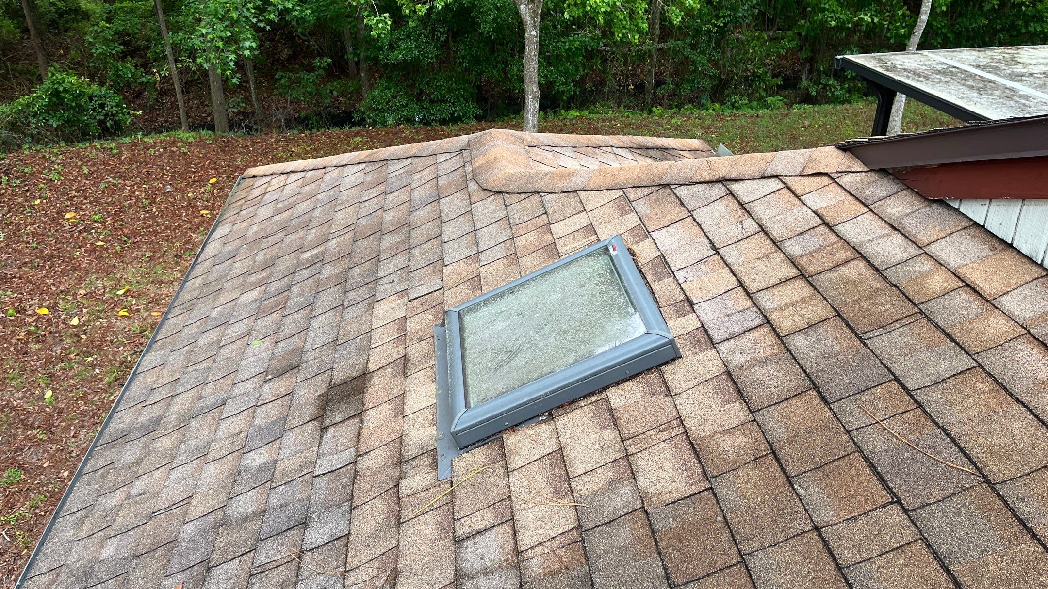 Shingle -> Shingle by Prime Roofing