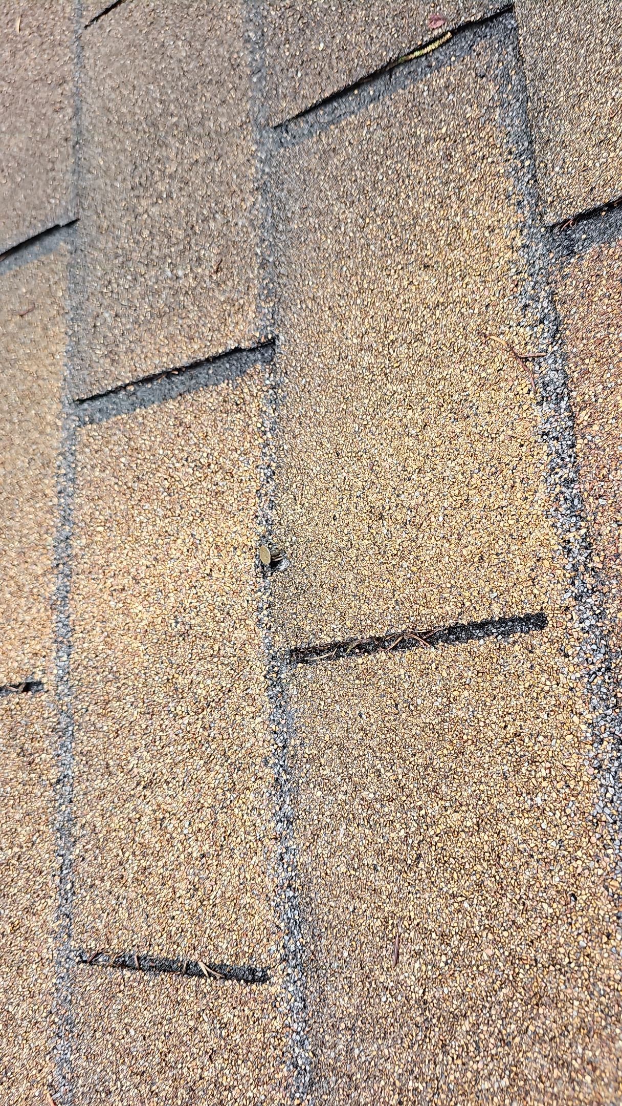 Atlas Pinnacle, Color, Copper Canyon, Drip Edge, Color, Royal Brown by Eagle Eye Roofing