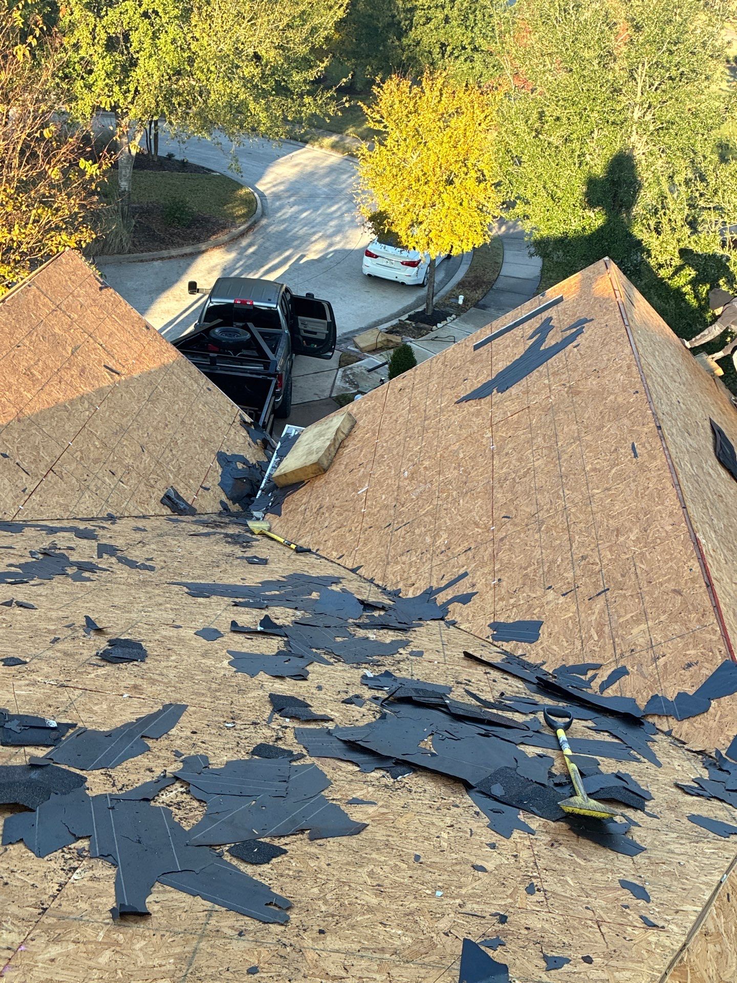 LYNA L by Boss Hogg Roofing