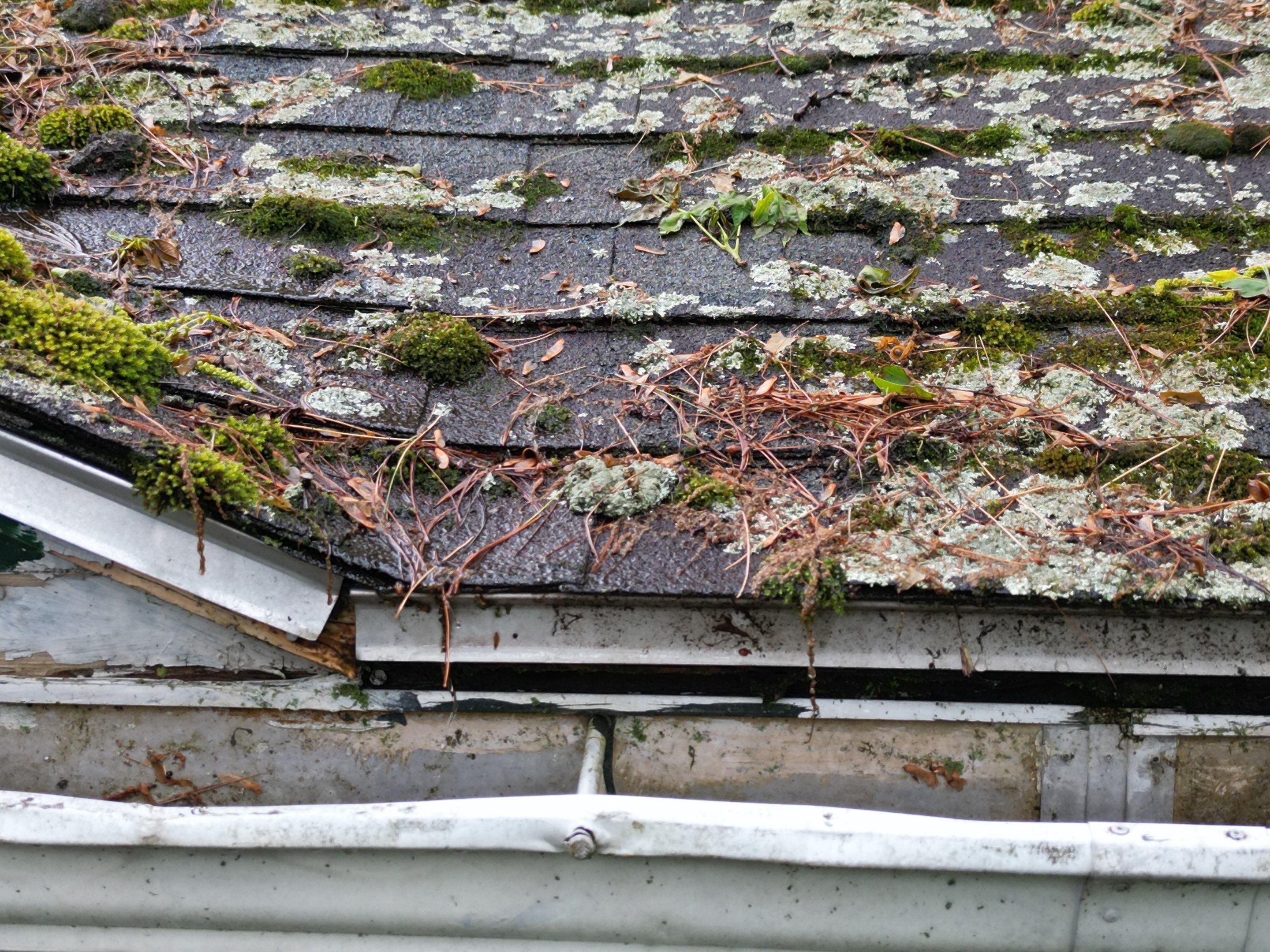 Roof & Exterior Renovation – Chelmsford, MA by Mighty Dog Roofing of Greater Middlesex County