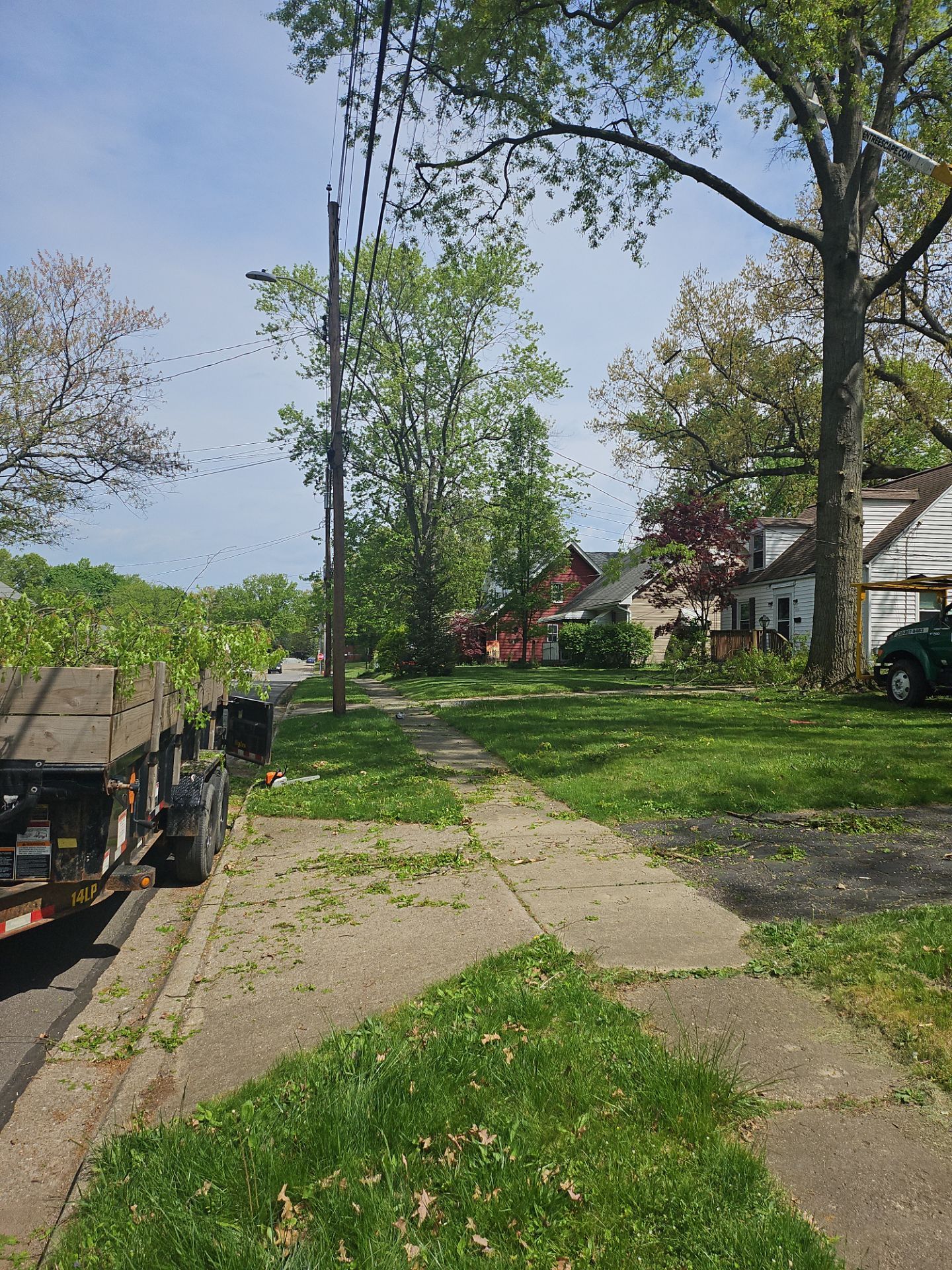 Tree Trimming using Tree Pruing by Mike Jones & Sons Tree Service LLC 