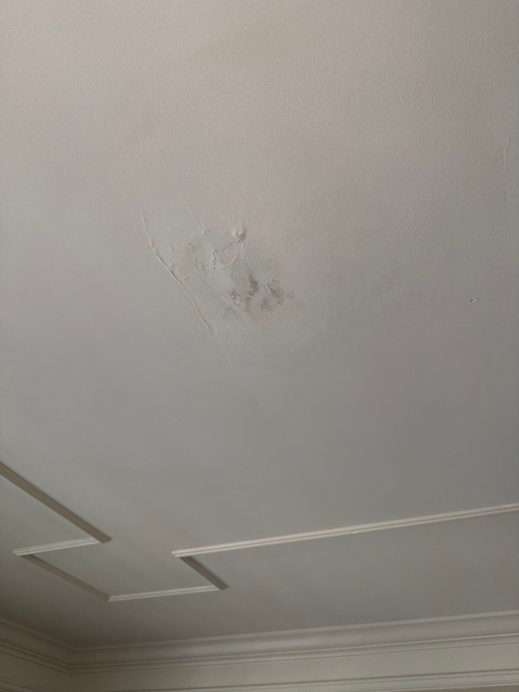 Drywall Repairs and Interior Painting in Eatonton by PGP Surface Solutions, LLC