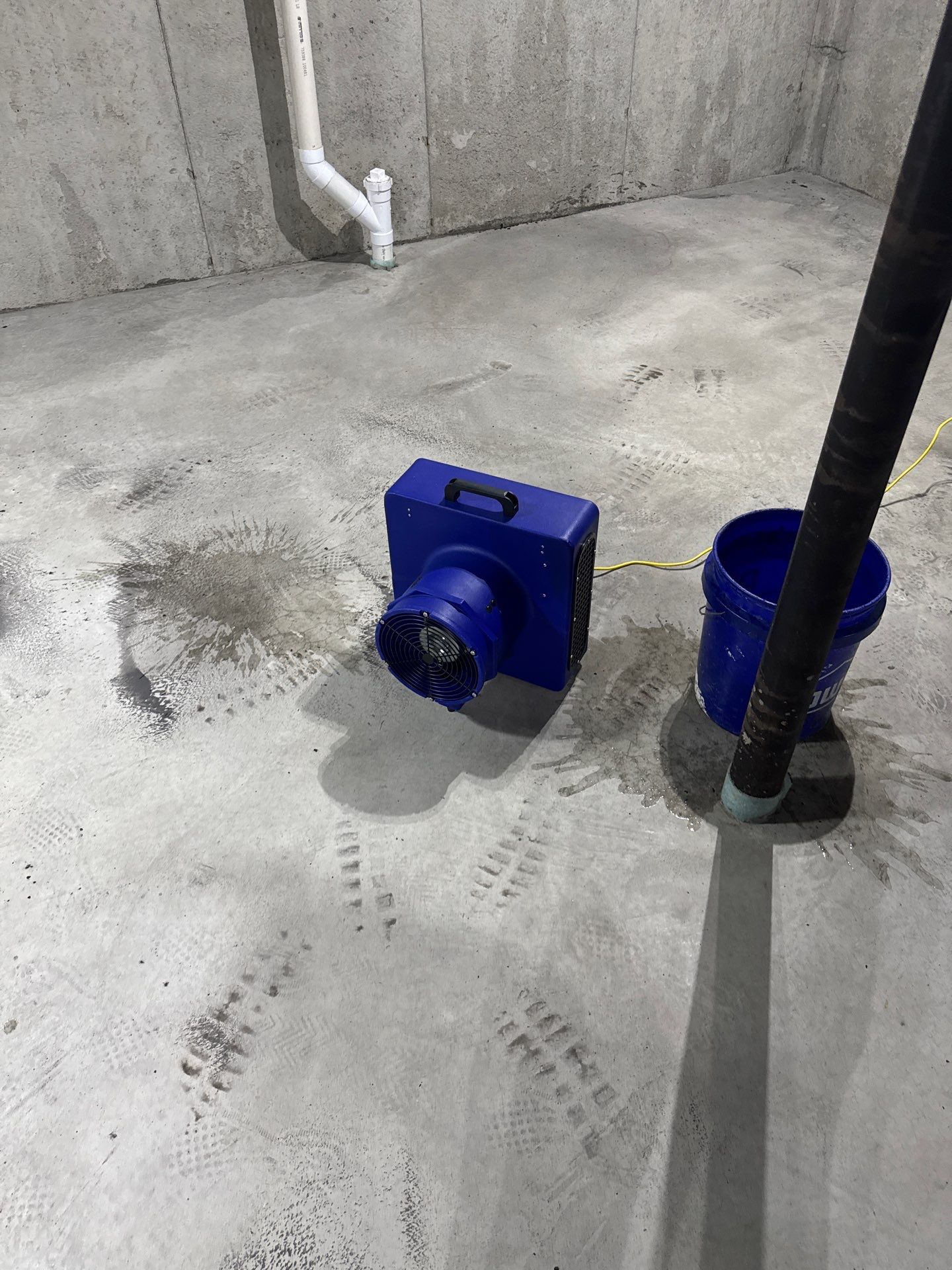 Project in Commerce Twp by EzDry Water Mitigation & Property Restoration