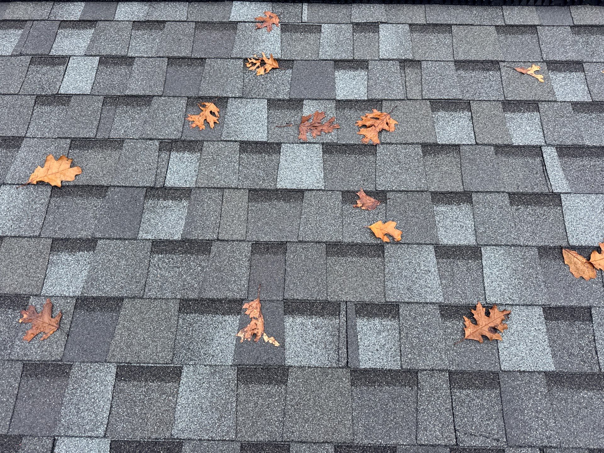 Residential Roofing Install - Atlas Pinnacle Pristine Shingles - Color Coastal Granite  by Titan Commercial & Residential Roofing 