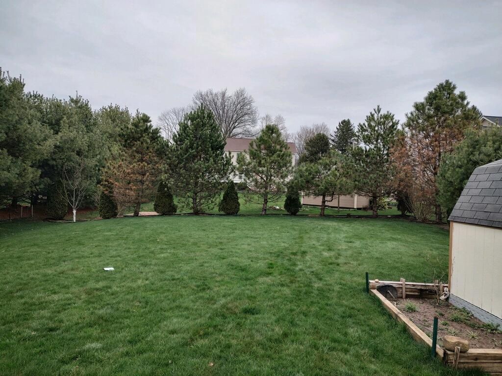 Tree Removal using Tree Removal by Mike Jones & Sons Tree Service LLC 