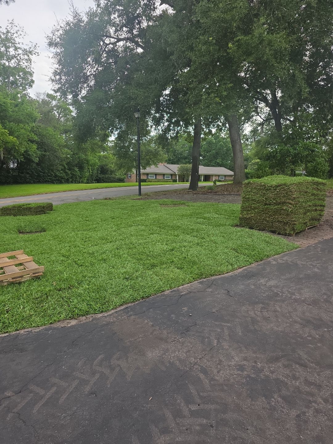 Deerwood Resident | Sod & Plant Install by ProGreen Services