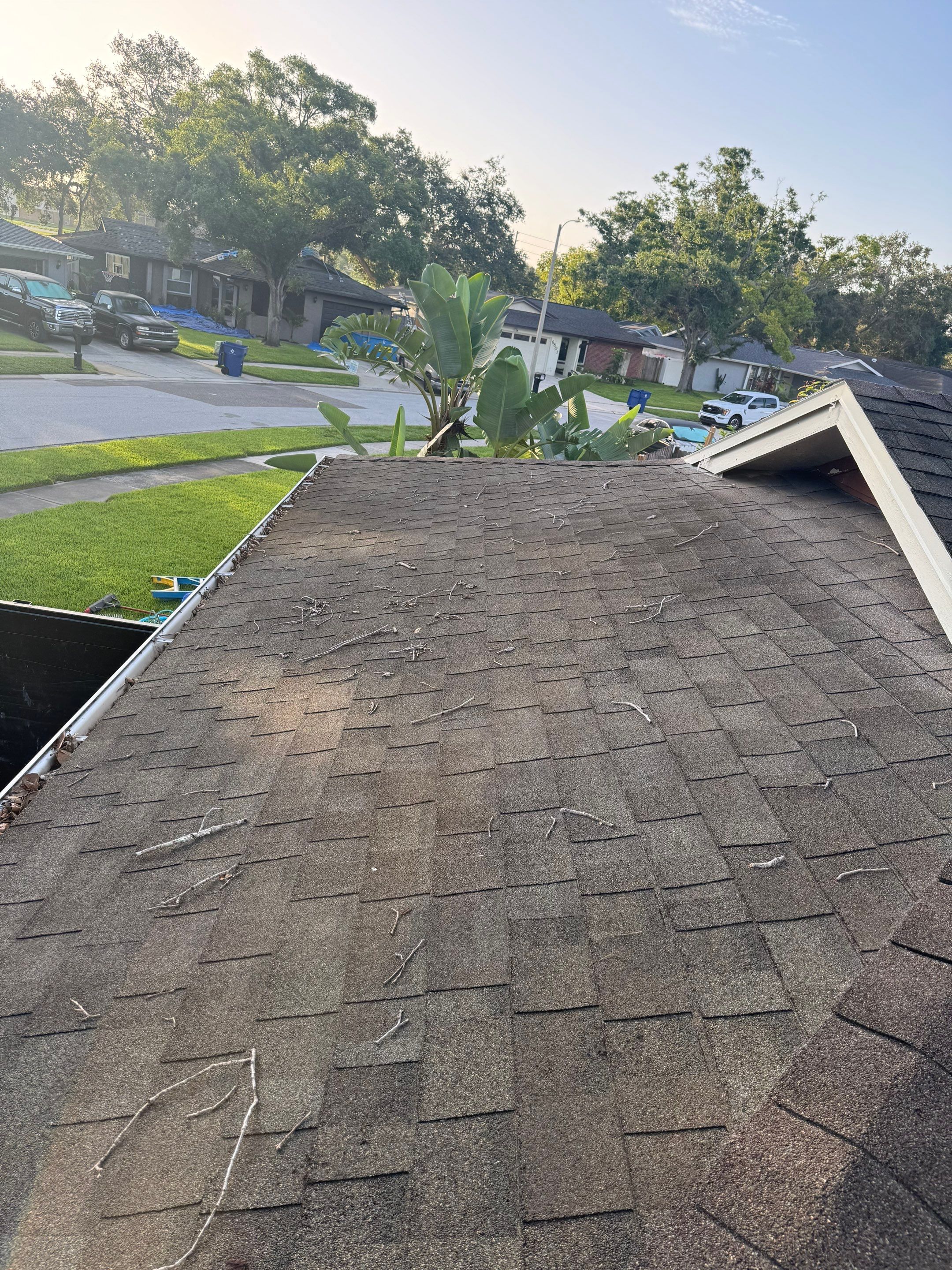 Project in Pinellas Park 33781 by Mitchell Roofing Company LLC 