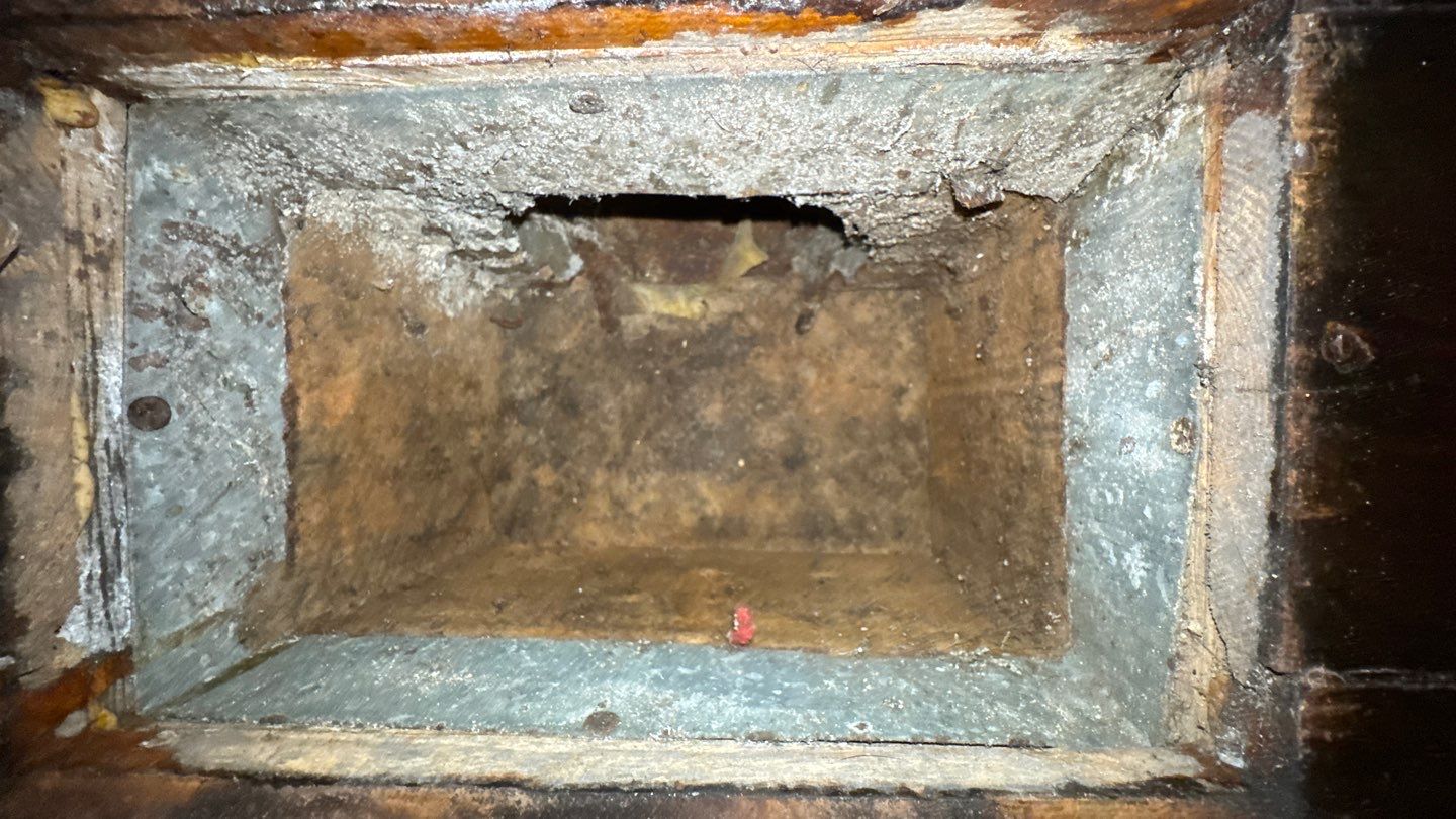 Extremely Dirty Air Duct Cleaning in Fruitland Park by Hygienic Air, Inc