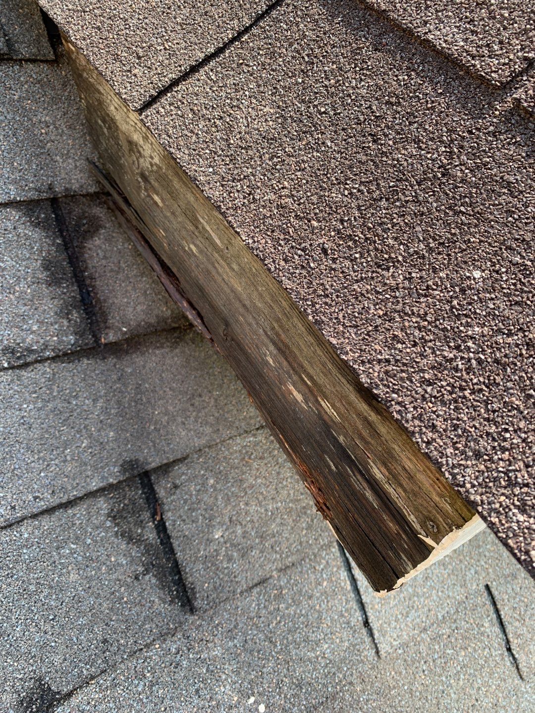 Re-Roof and Fascia by American Roofing NC