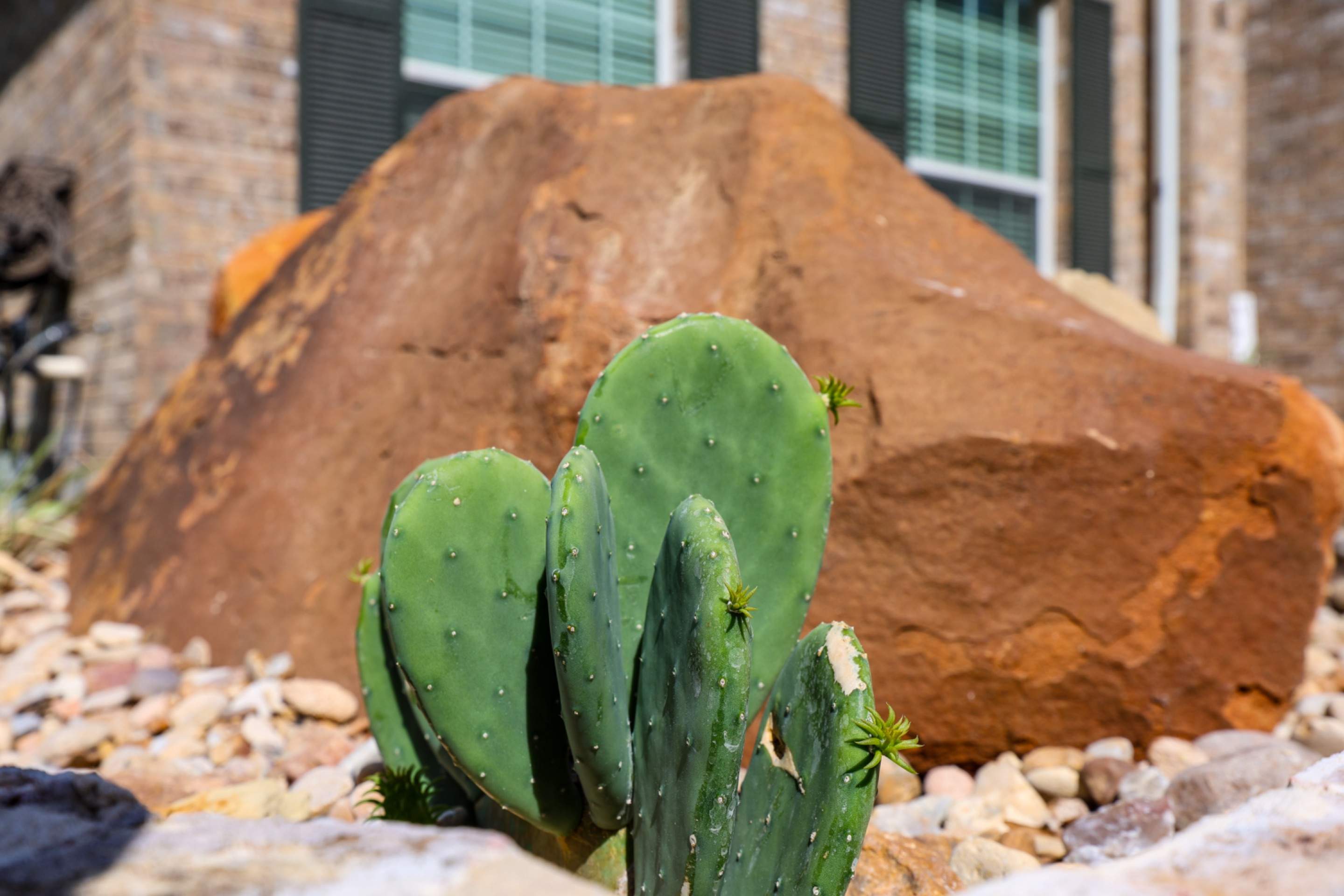 Stone Oak - San Antonio, TX by Hole In One Lawns, LLC