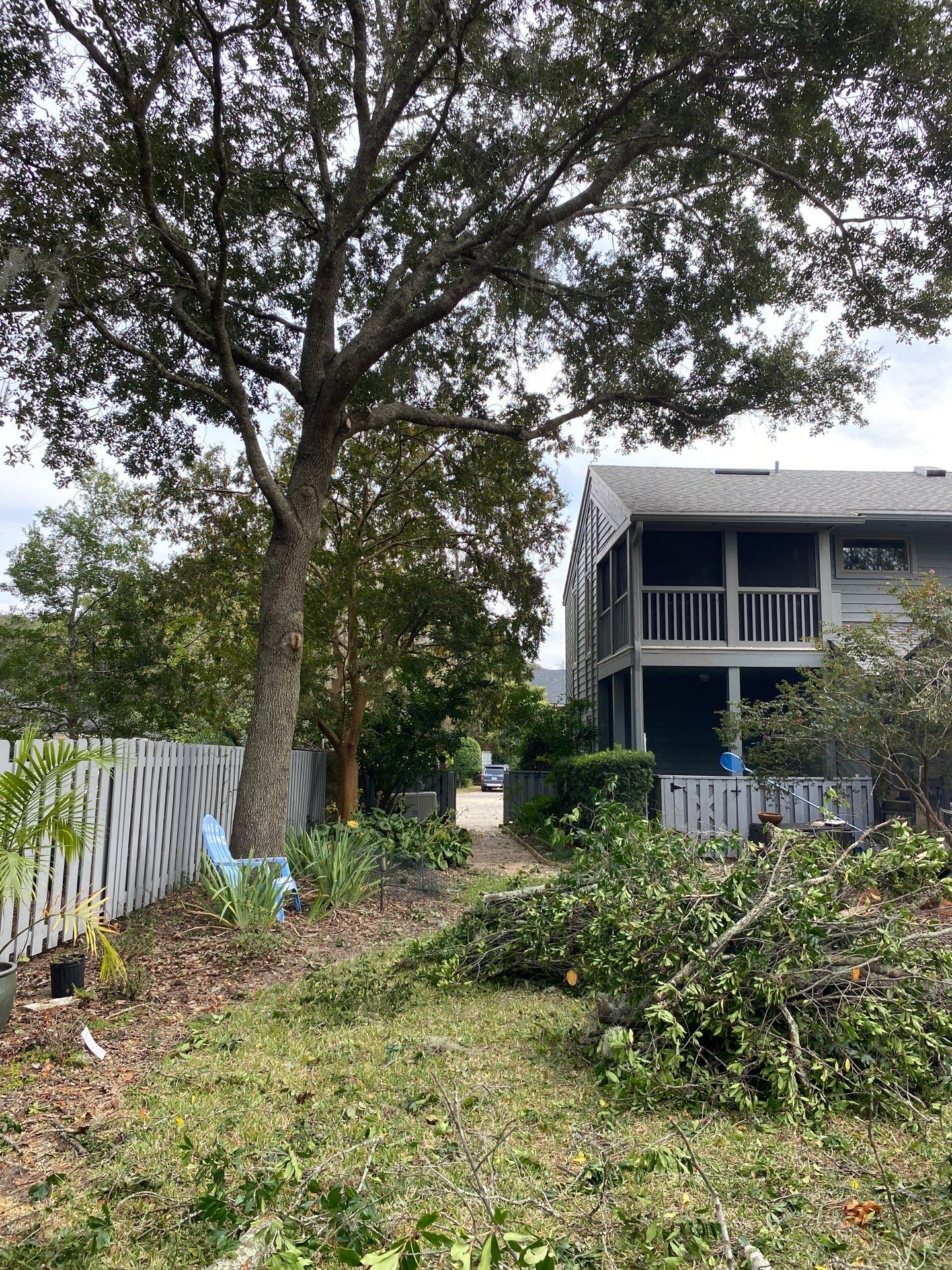 Deerwood Resident | Tree Trimming & Removal by ProGreen Services