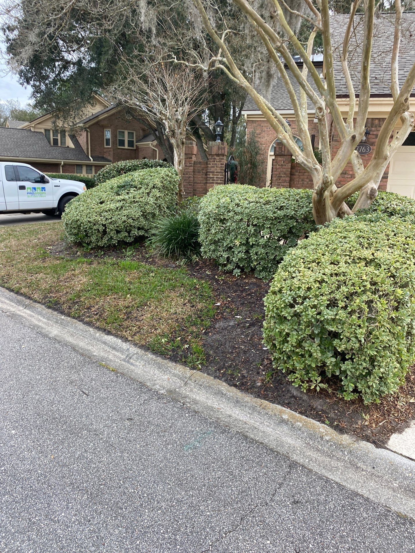 Deerwood Pointe | Tree Removal & Pine Straw Installation by ProGreen Services