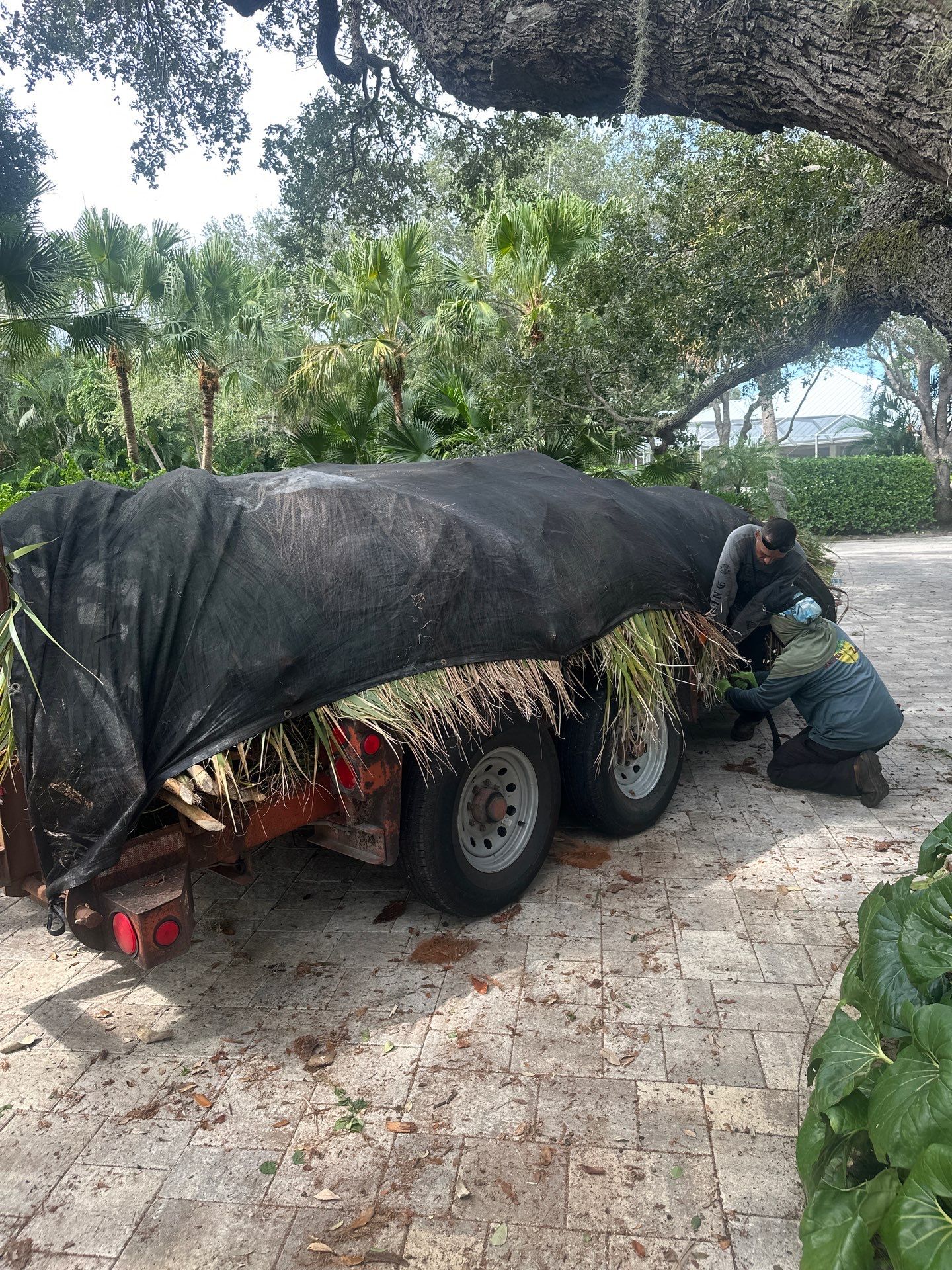 Sewall's Point Phase 1 - The Art of the Cutback by Alpha Zeta Enterprises Inc