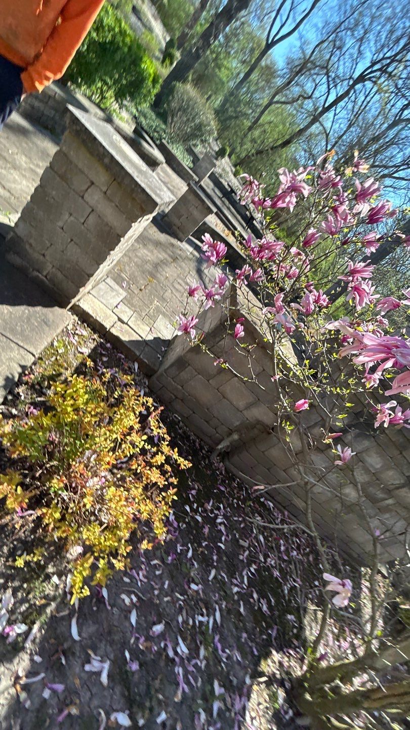 natural stone using Algaecide, soft wash soap by Northern Power Washing LLC.
