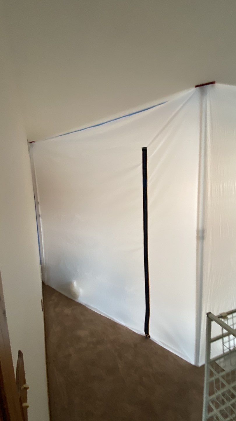 Attic Mold Remediation by Chicagoland Water Medics