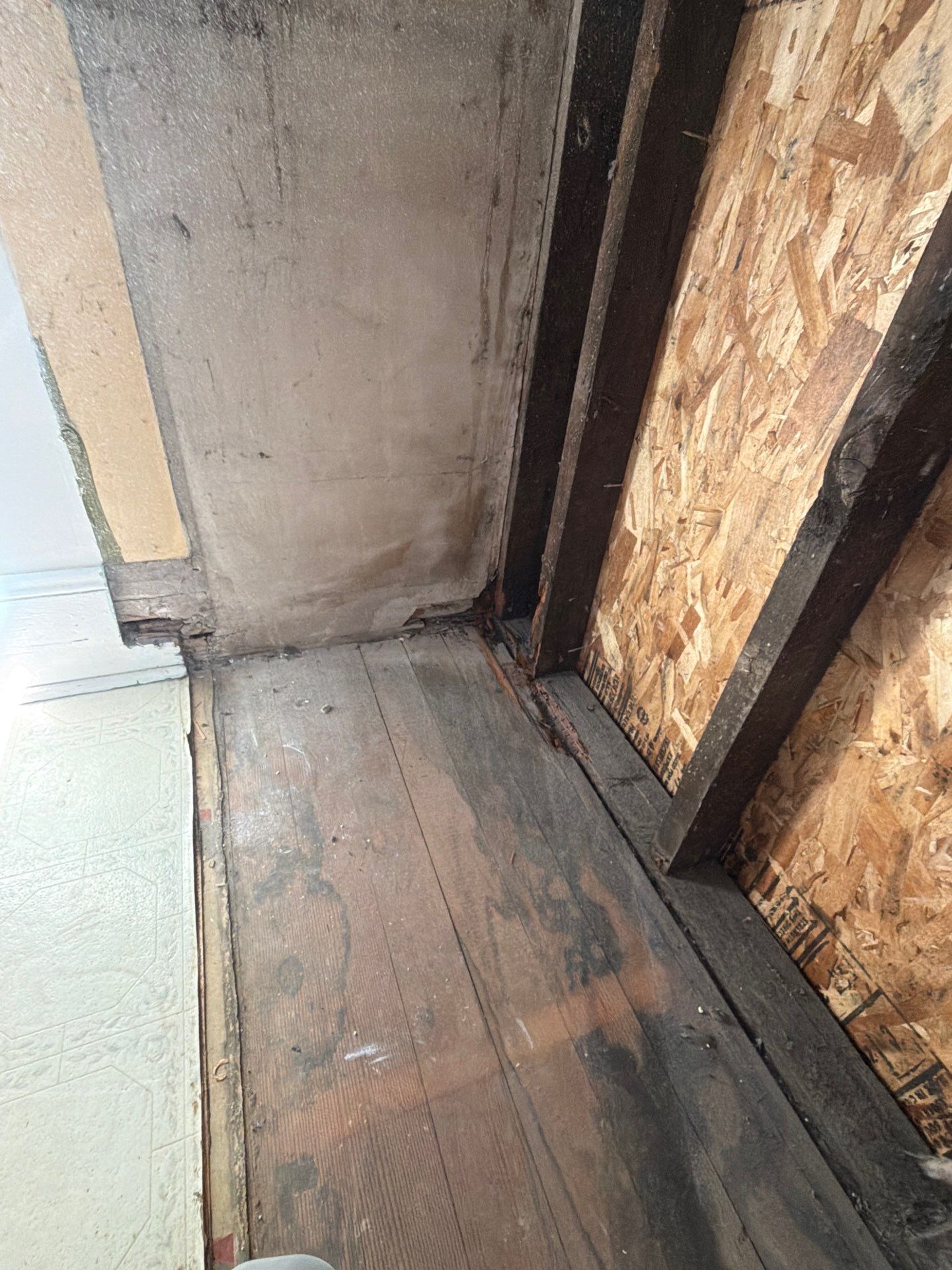 Dry Rot Repairs by Handyman State LLC