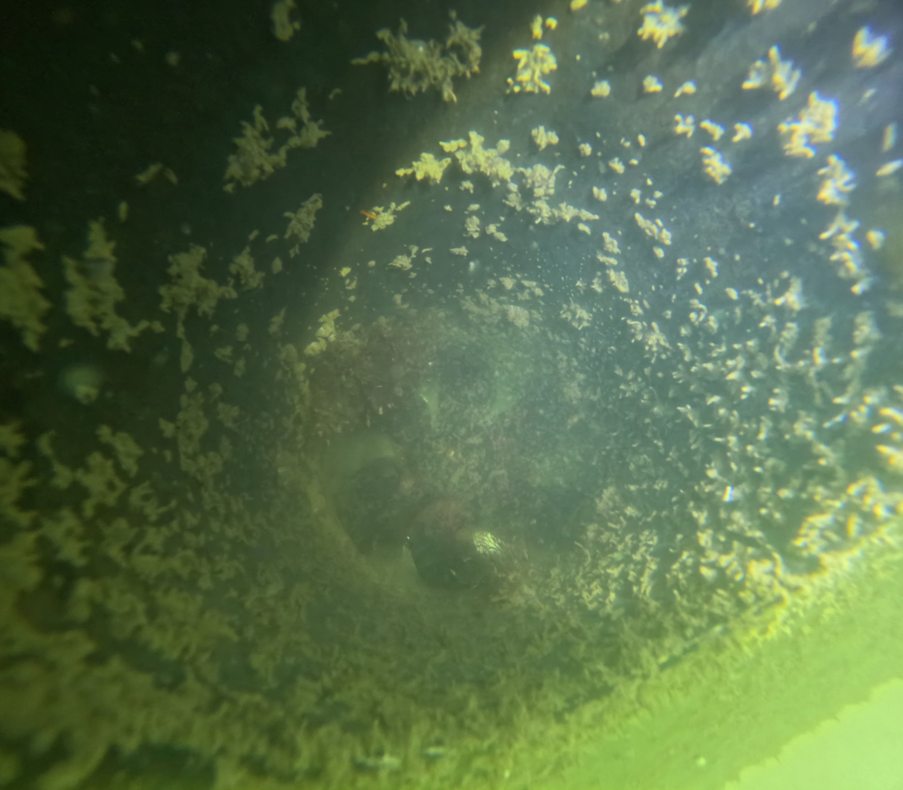 Project in Marco island, FL by Florida Hull Cleaning 