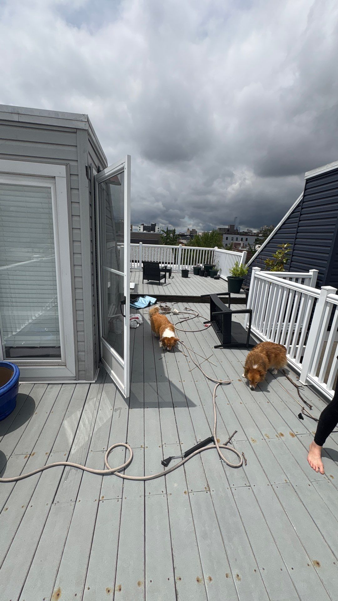 Trex Roof Deck & TPO Roofing System by Philadelphia Quality Roofing