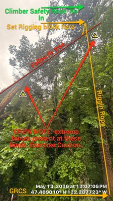 Emergency Hazard Tree Removal and Rigging Operations in SeaTac, WA