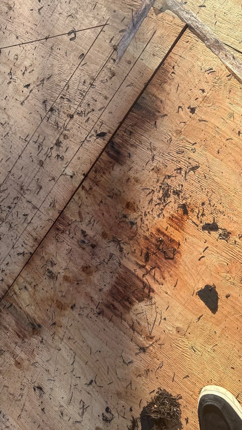 Project in Sammamish by Roofing Formula LLC