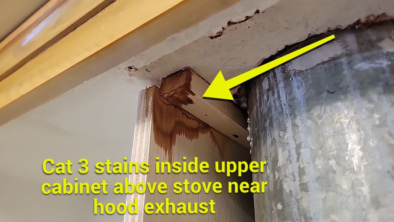 Sewage Pipe Break in the Attic by Chicagoland Water Medics