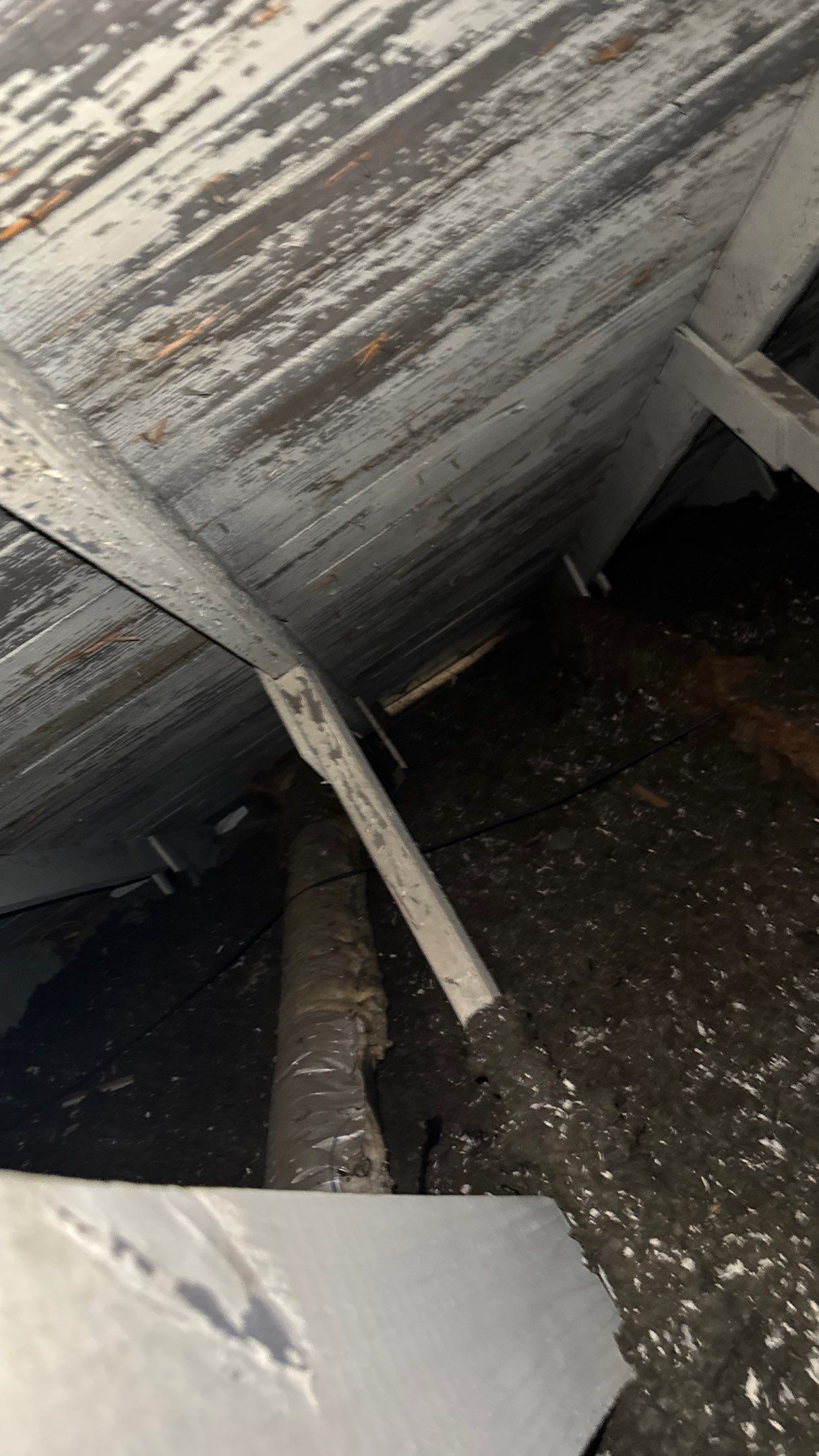 Roof Replacement using Owens Corning Summer Harvest by 180 Contractors