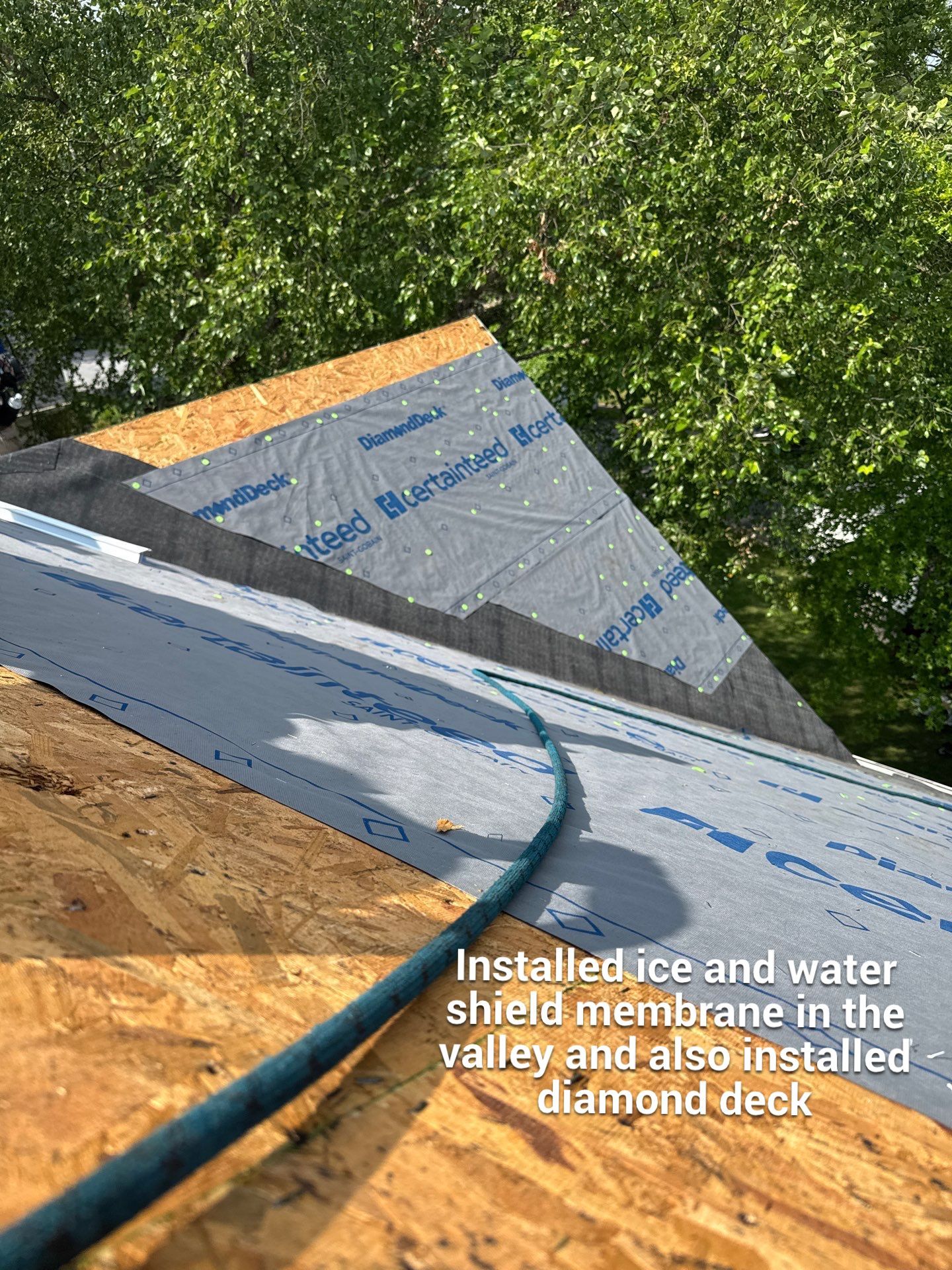 New Shingle Roof & New Gutters and downspouts with covers by Alpha Design Services