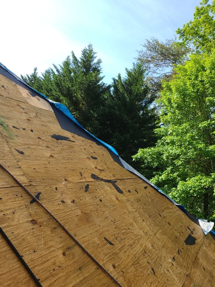 Clifton - CertainTeed Landmark Charcoal Black by RM Banning, Inc.