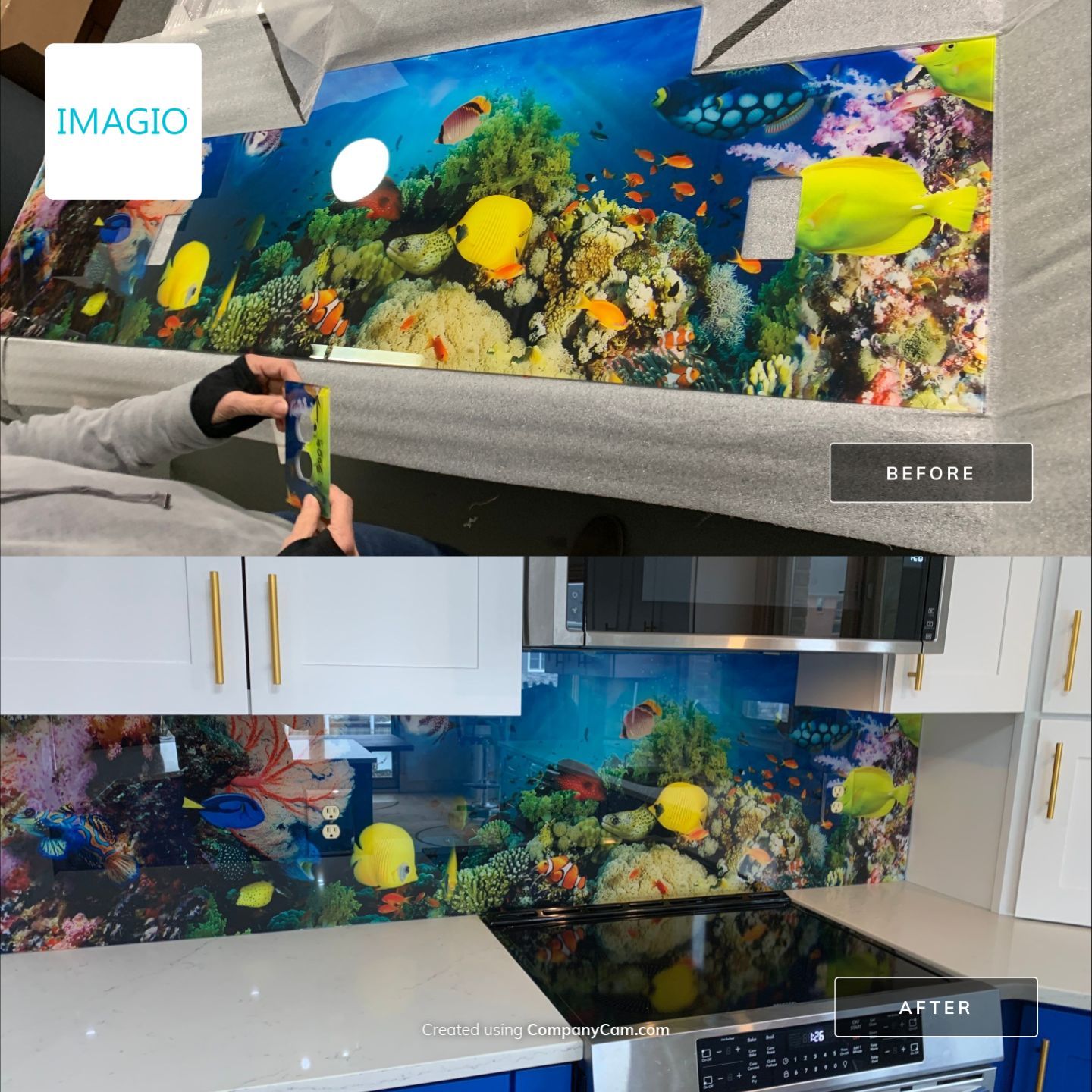 IMAGIO under the sea solid glass kitchen backsplash by IMAGIO