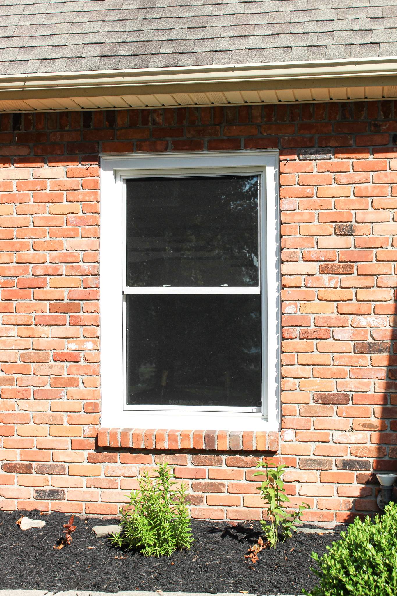 Window Replacement by Ivy Lea Construction