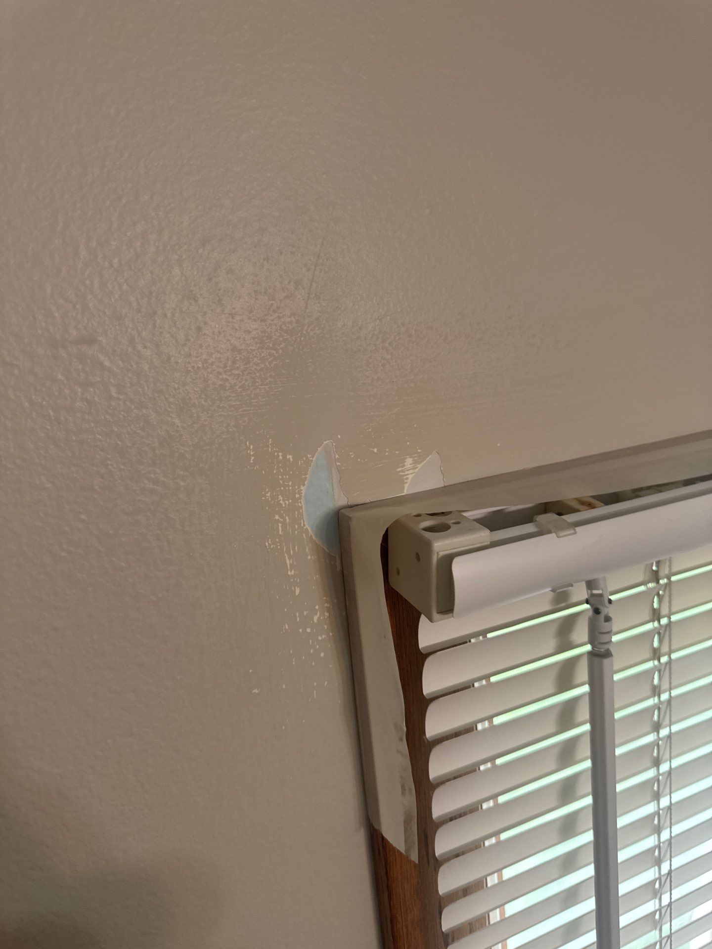 Project in Ankeny by Midwest Paint LLC