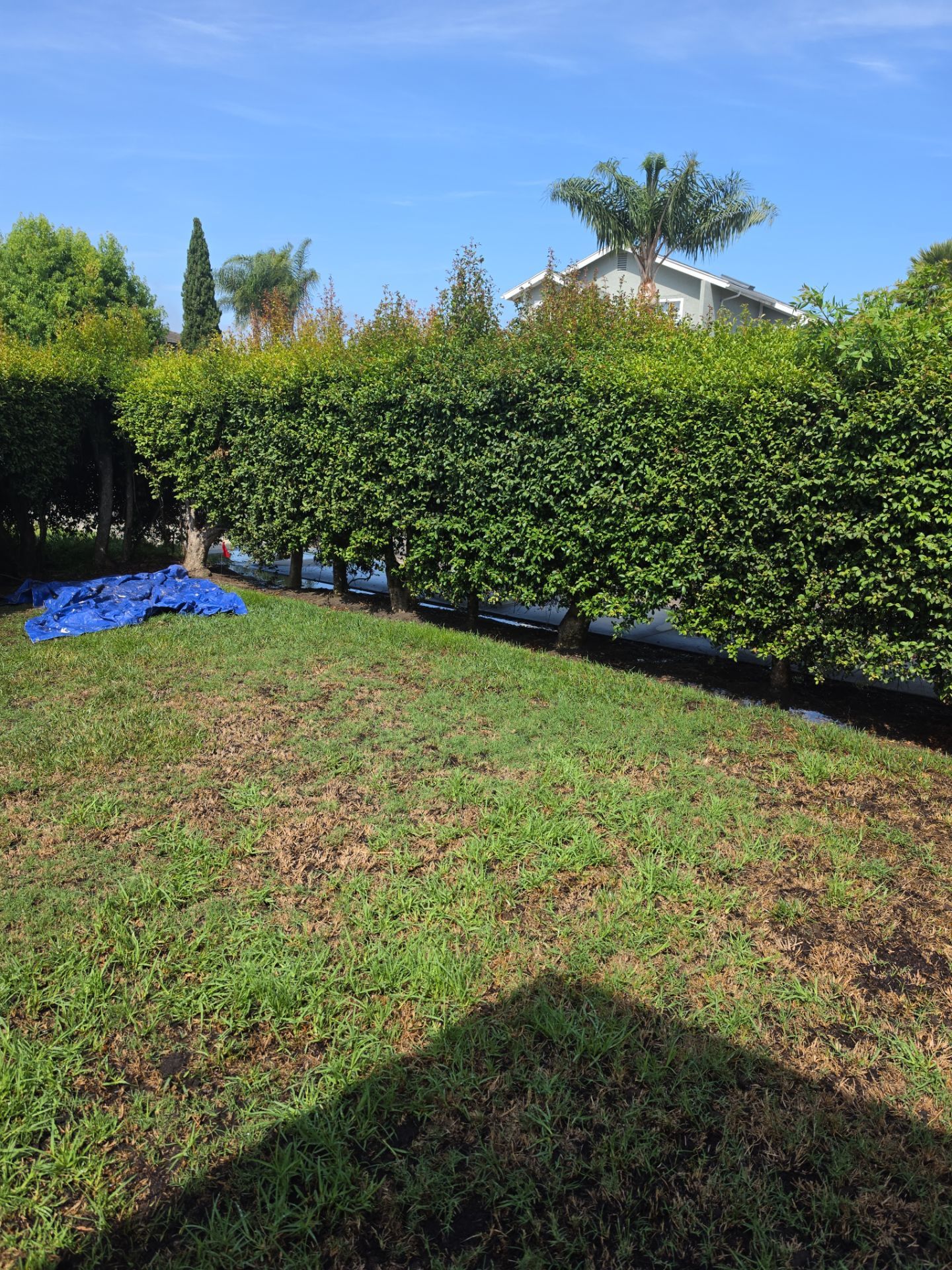Residential Irrigation System Repair and Pipe Installation in Carlsbad by Yard Techs