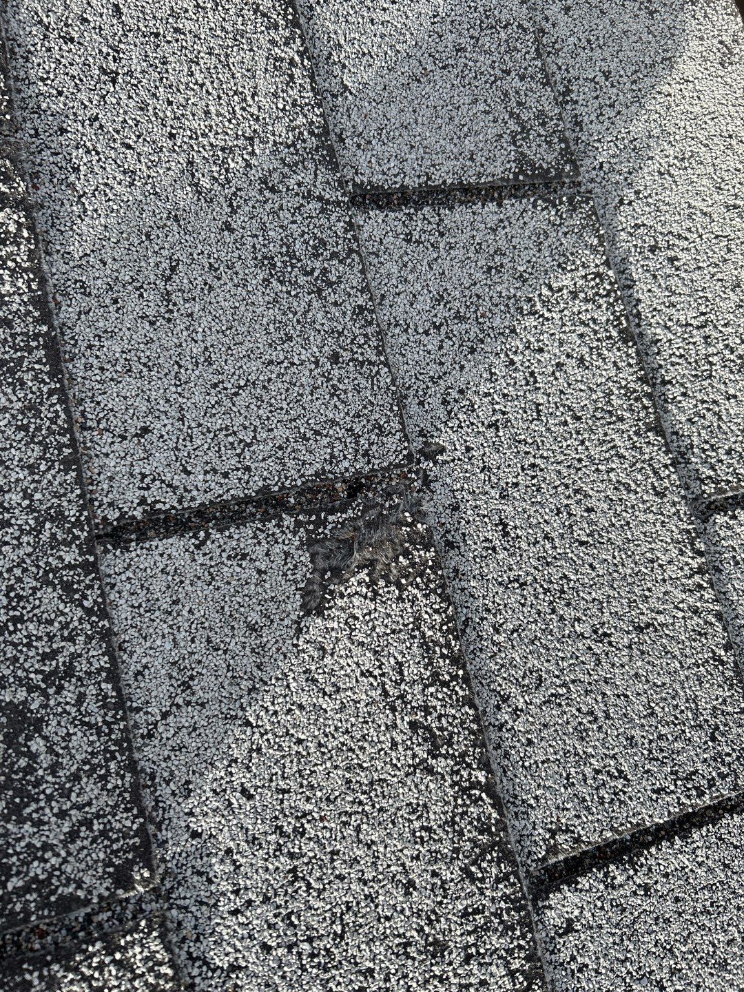 Walter's Full Re-Roof (Energy Star) by All Storm Roofing & Construction