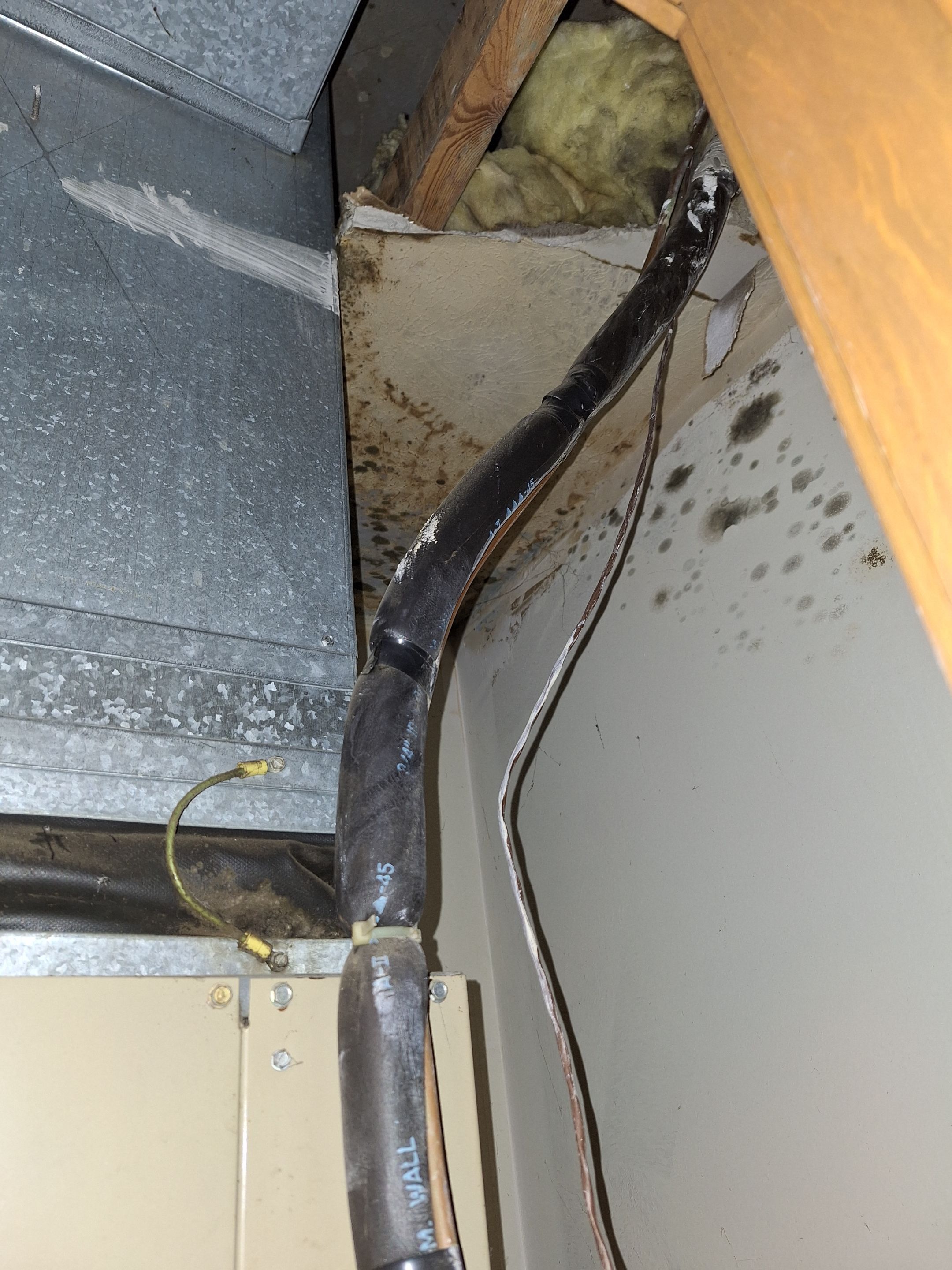 Mold Remediation in Jeffersonville, IN by ANR Restoration