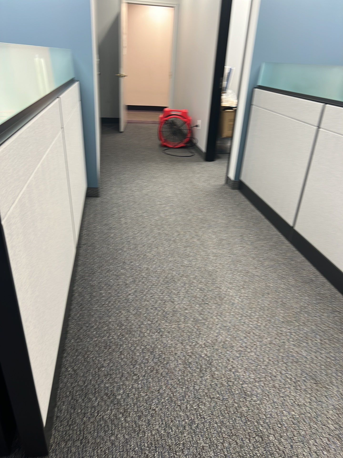 Project in Southfield by EzDry Water Mitigation & Property Restoration