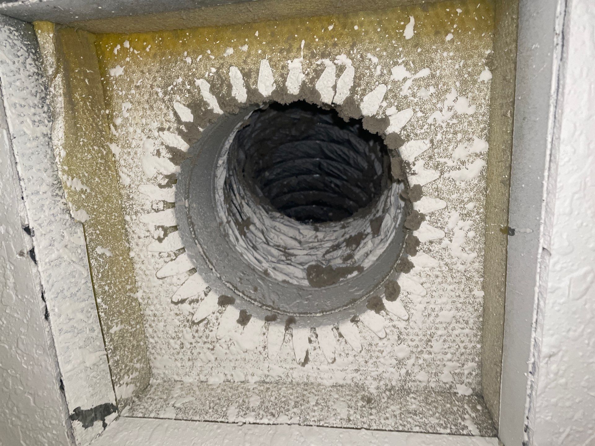 Air Duct Cleaning in Bartow by Hygienic Air, Inc