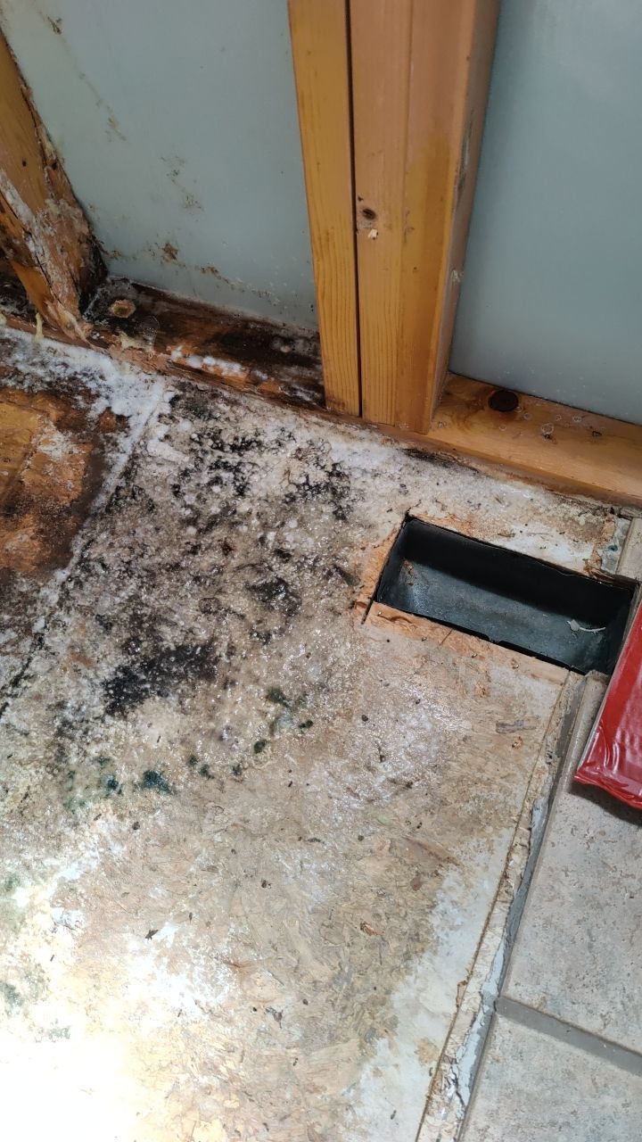 Water Damage and Mold Remediation by Accountable Home Services